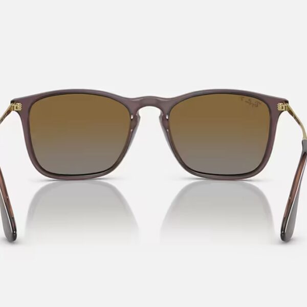 CHRIS BROWN POLARIZADO