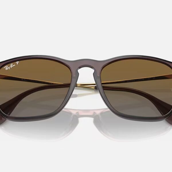 CHRIS BROWN POLARIZADO