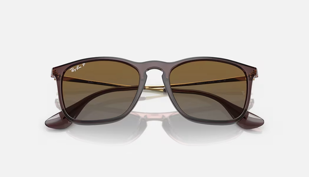 CHRIS BROWN POLARIZADO