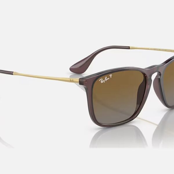 CHRIS BROWN POLARIZADO