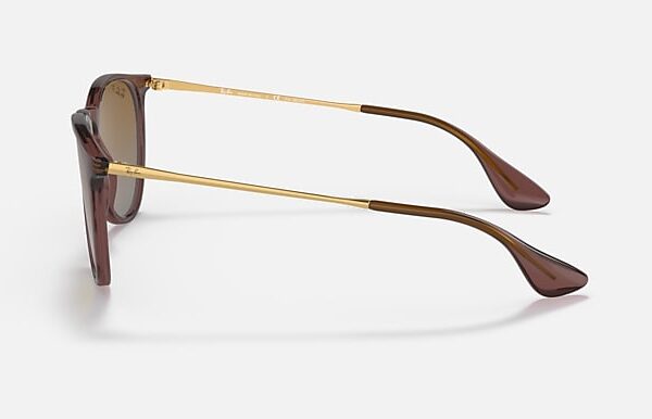 CHRIS BROWN POLARIZADO